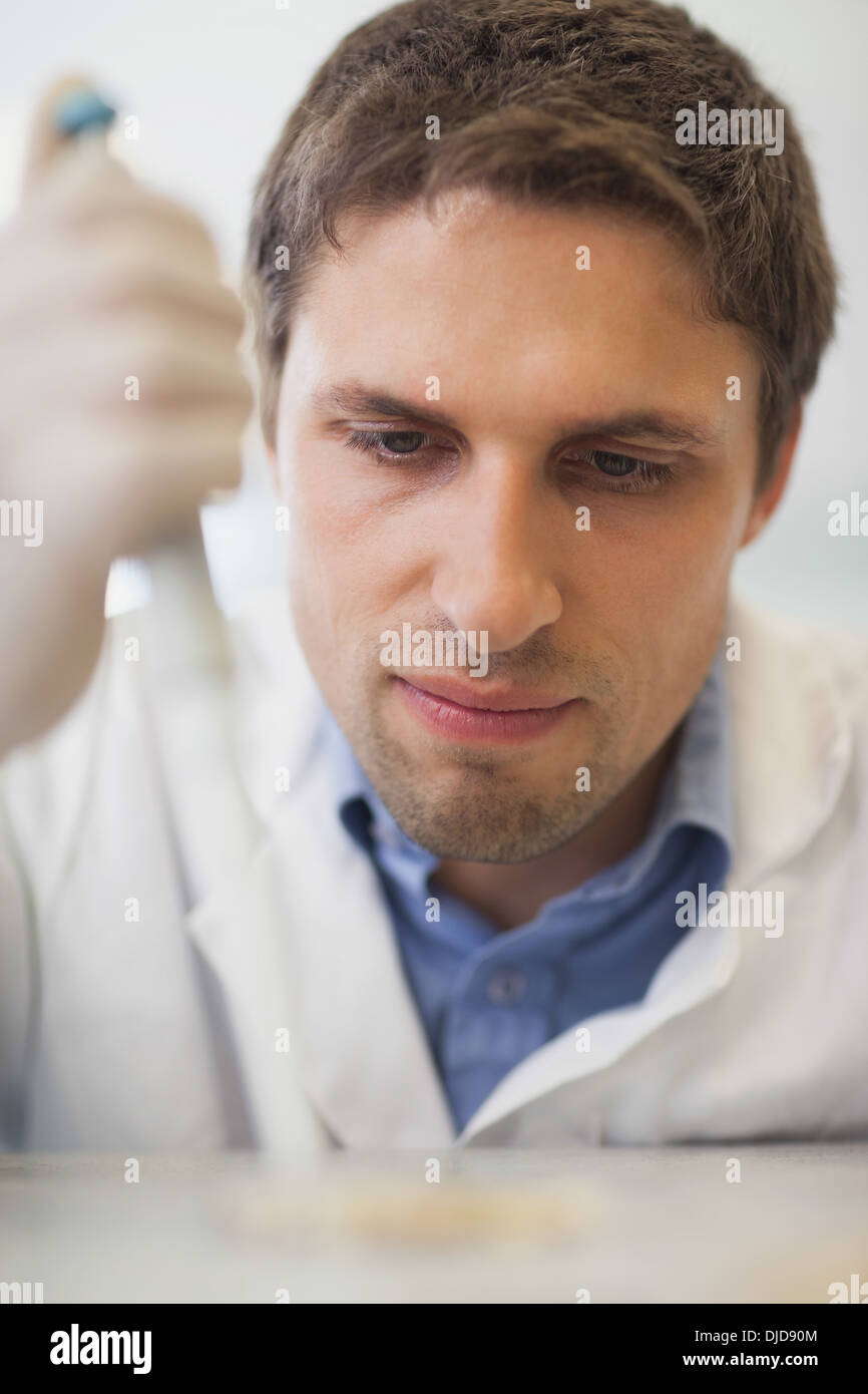 Concentrated male scientist using a pipette Stock Photo