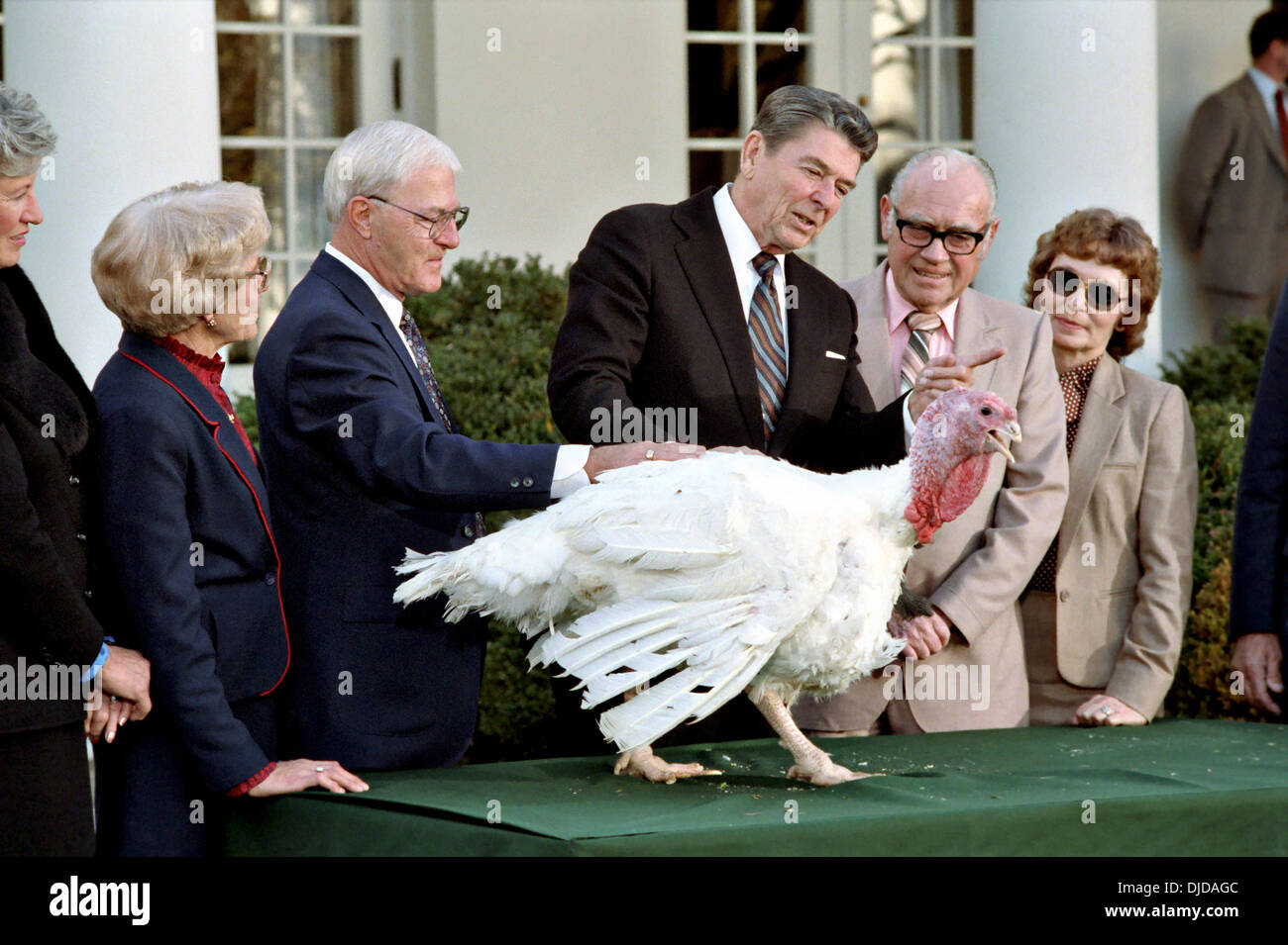 US President Ronald Reagan during the presentation of the Thanksgiving Turkey from the President and Executive Vice President of the National Turkey Federation William Prestage and Lew Walts in the Rose Garden of the White House November 21, 1983 in Washington, DC. Stock Photo
