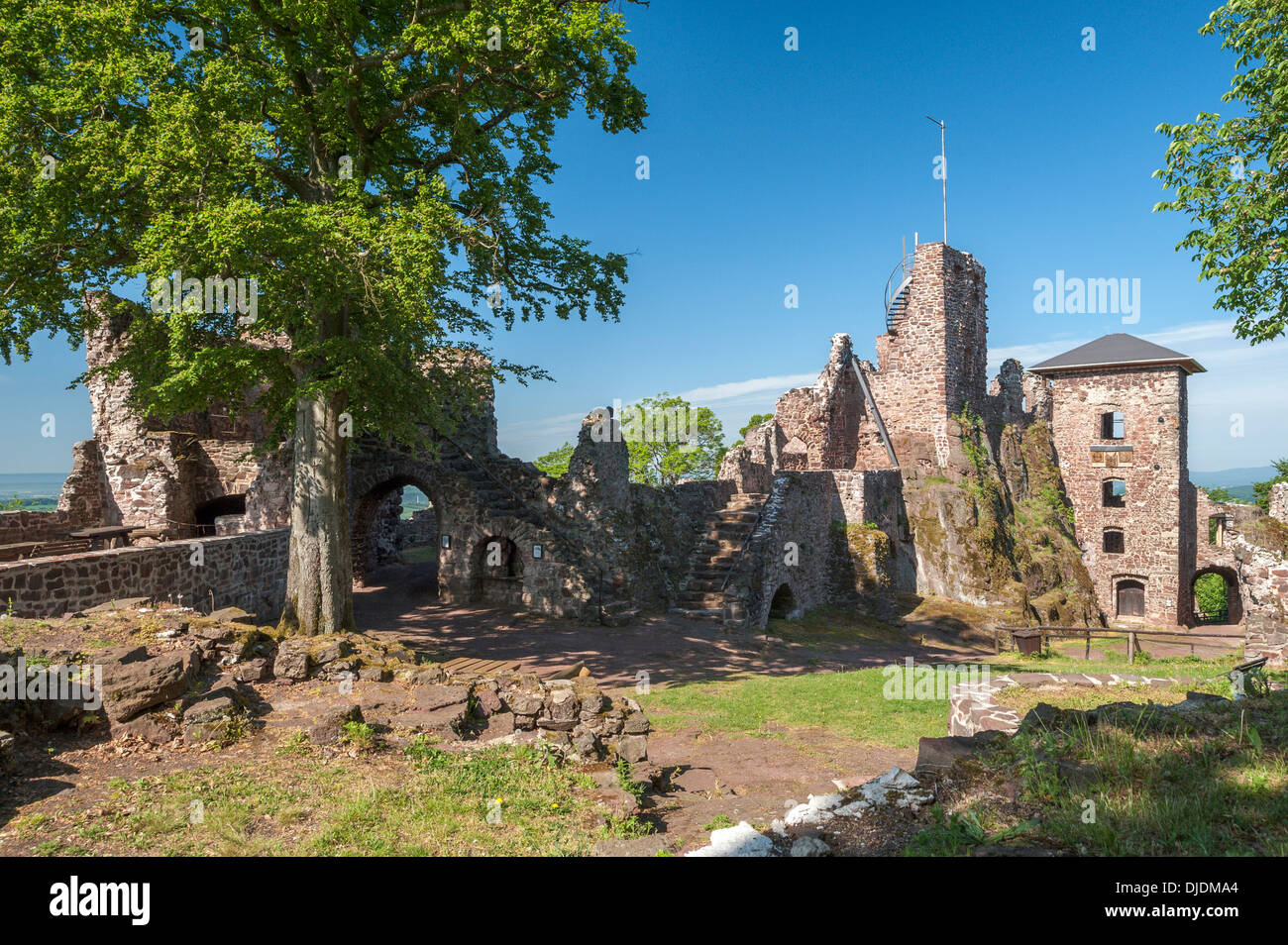 Burg Hohenstein castle ruins, Neustadt im Harz, Thuringia, Germany Stock Photo