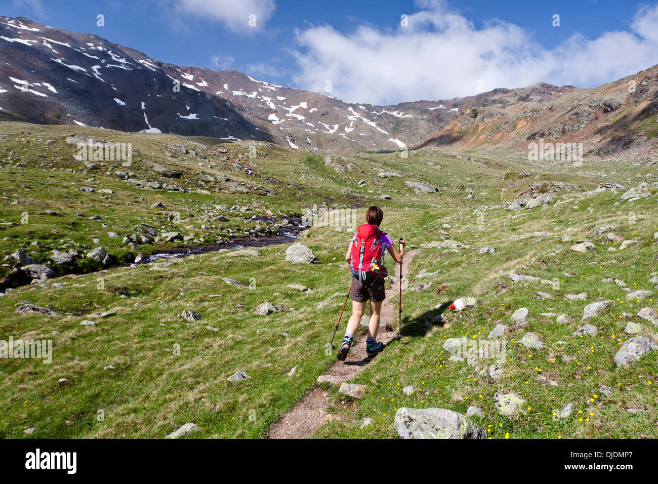 Female hiker in the Ulten Valley or Val d'Ultimo, summit of Mt Gleckspitz at back, South Tyrol, Trentino-Alto Adige, Italy Stock Photo