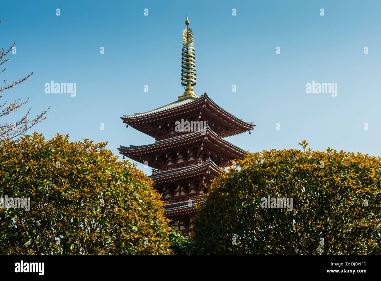 Pagoda in the Sensō-ji temple, Asakusa, Tokyo, Japan Stock Photo