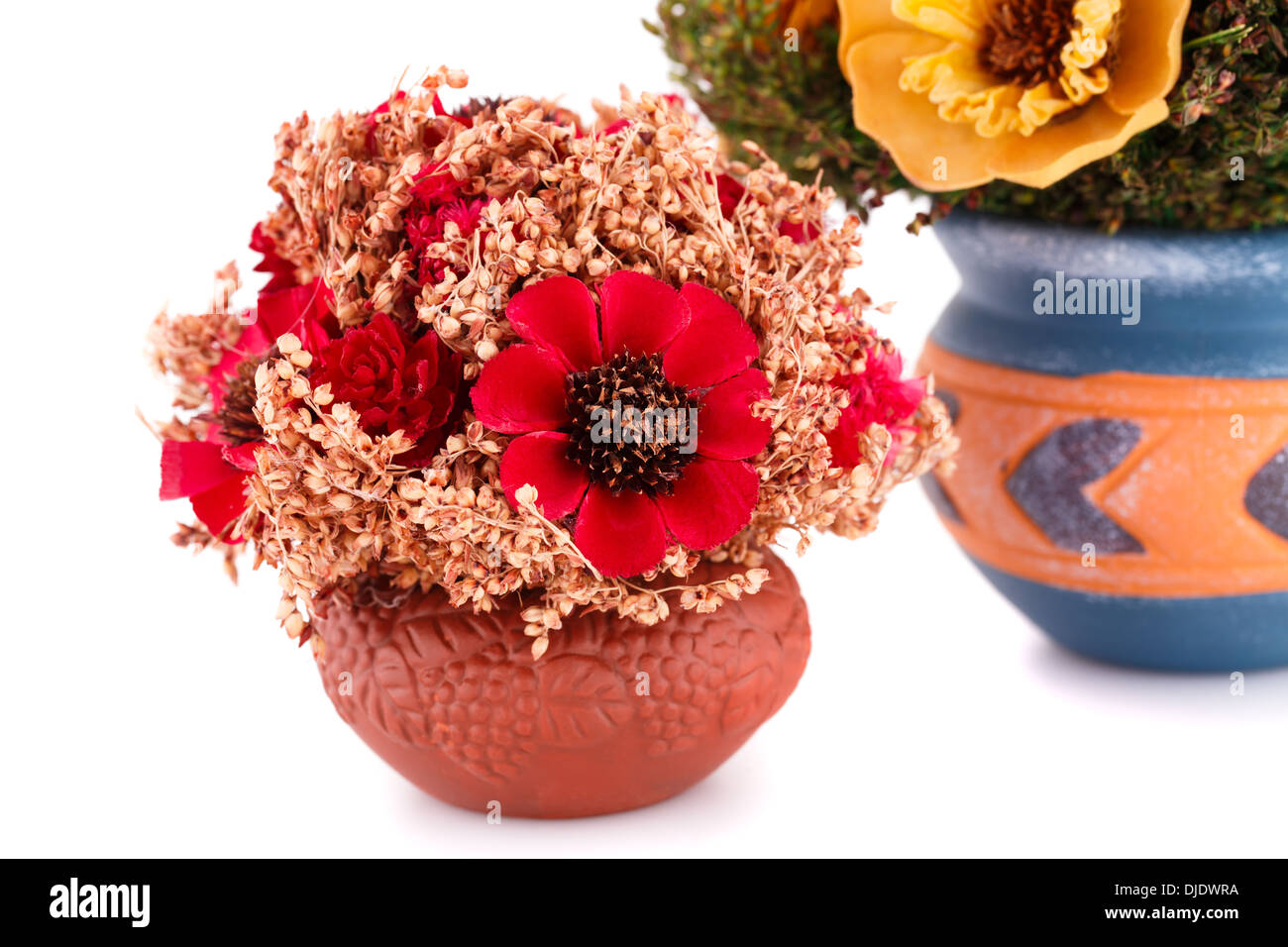 Flowers in vases isolated on white background Stock Photo - Alamy