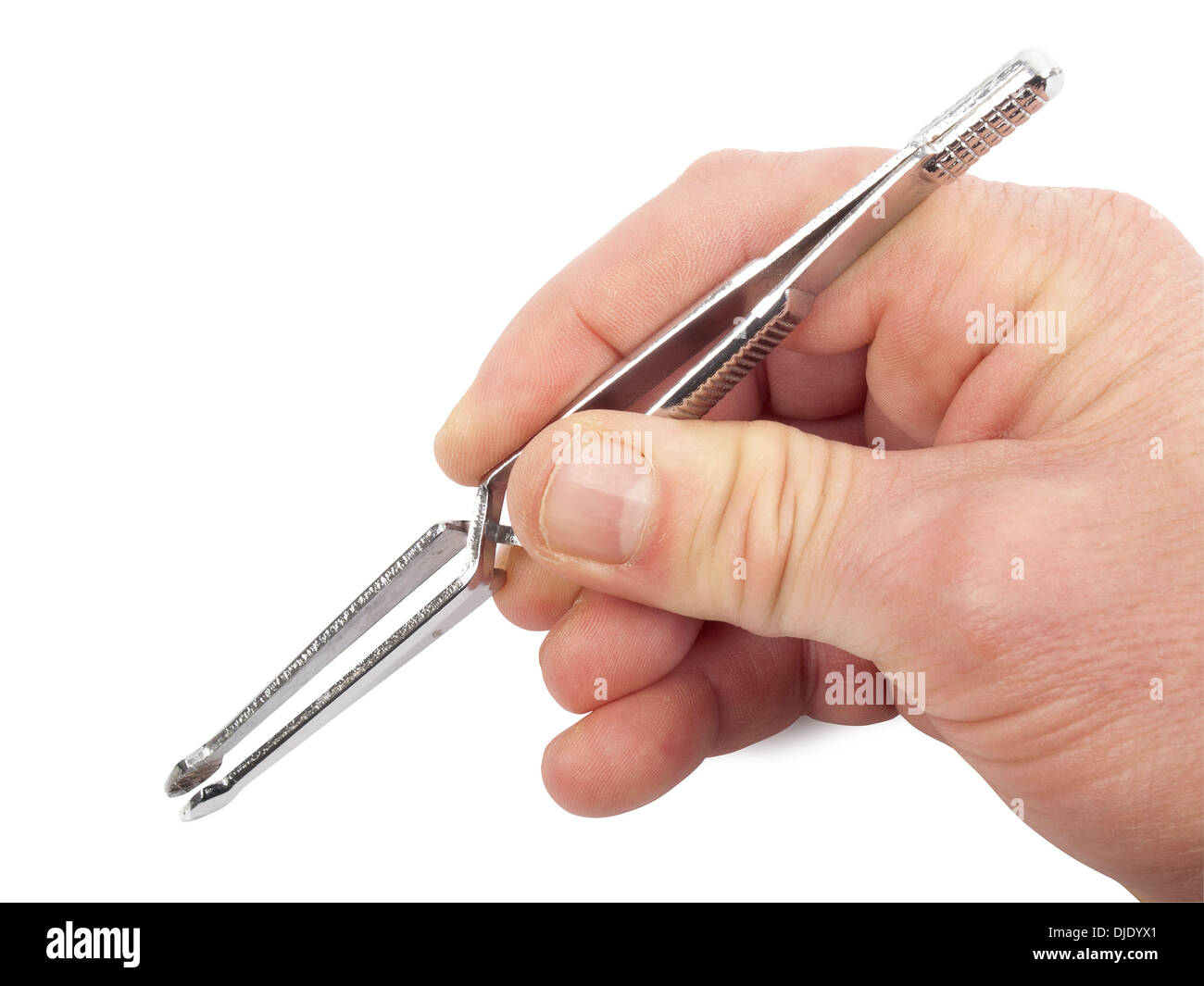 opening tick tweezers in hand, isolated on white, studio shot Stock
