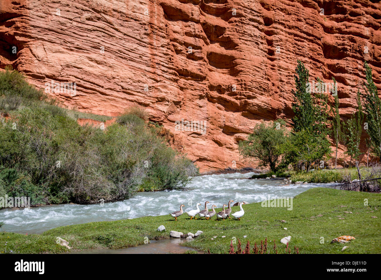 Geese at the river and strange rock formations Stock Photo