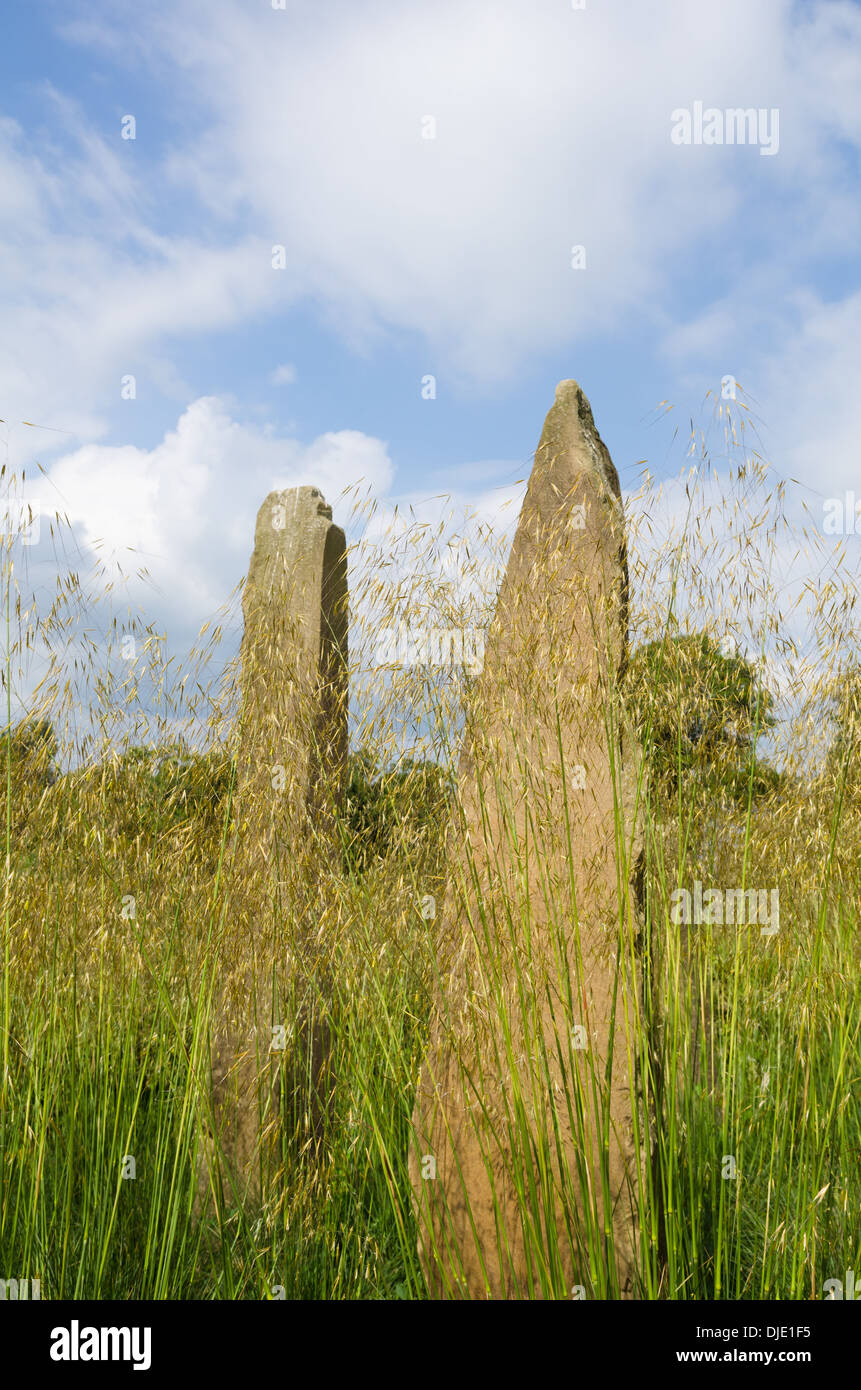 Stipa gigante and standing stones Stock Photo