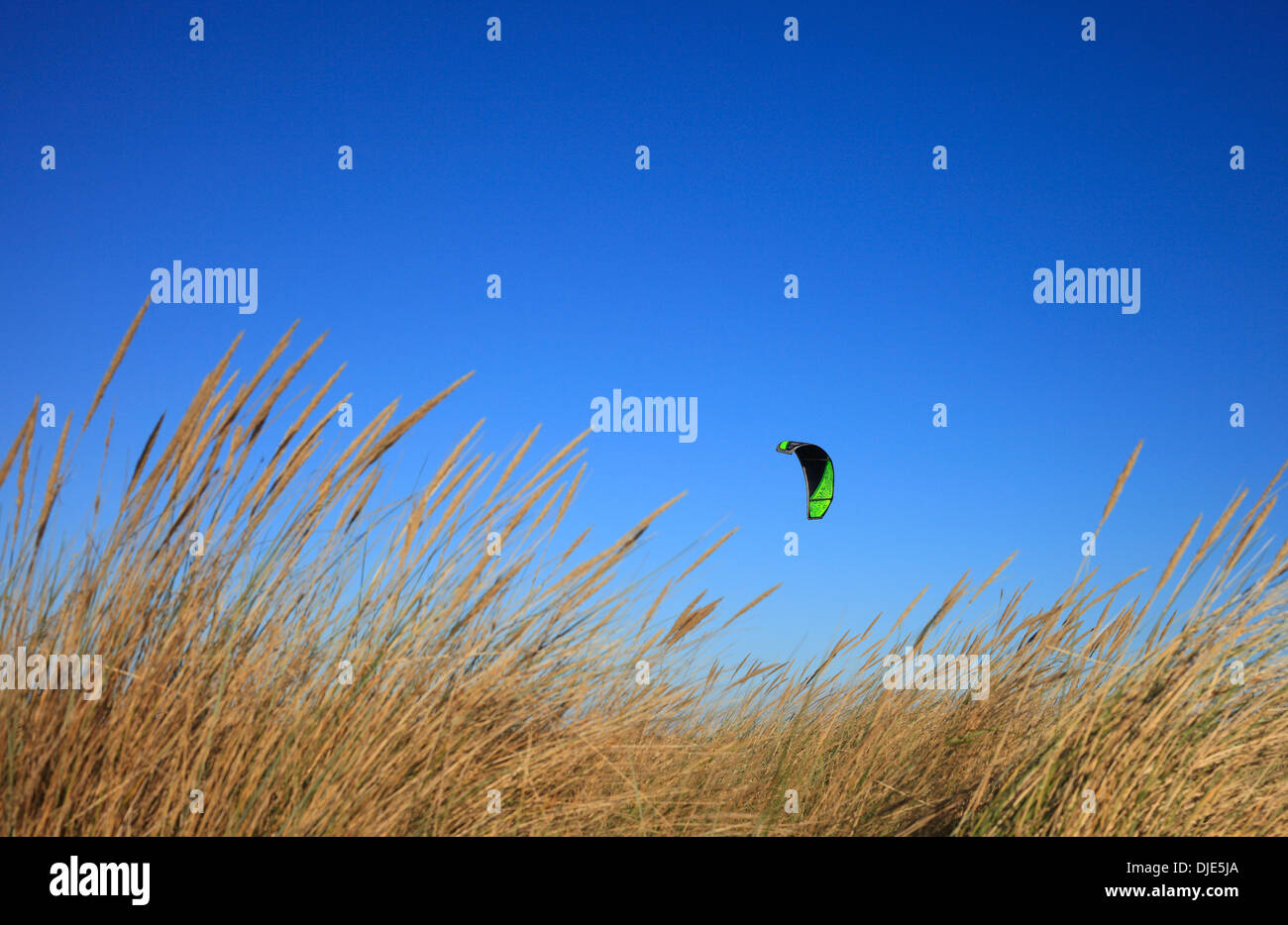 Kite surfing wing seen in a blue sky behind marram grass at Old Hunstanton. Stock Photo