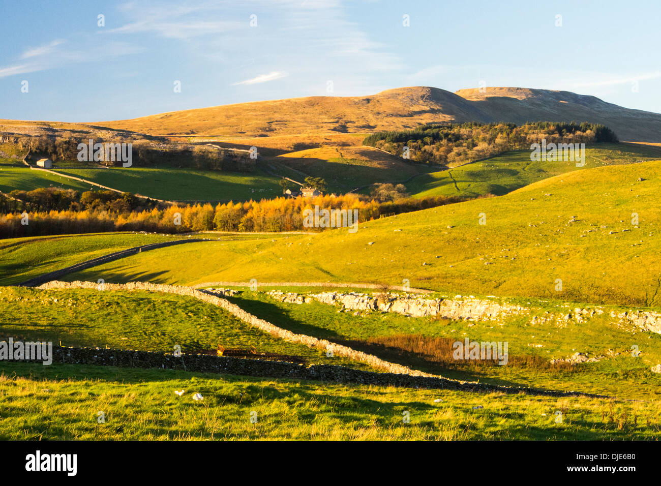 Ingleborough from between Clapham and Austwick in the Yorkshire, Dales, UK. Stock Photo