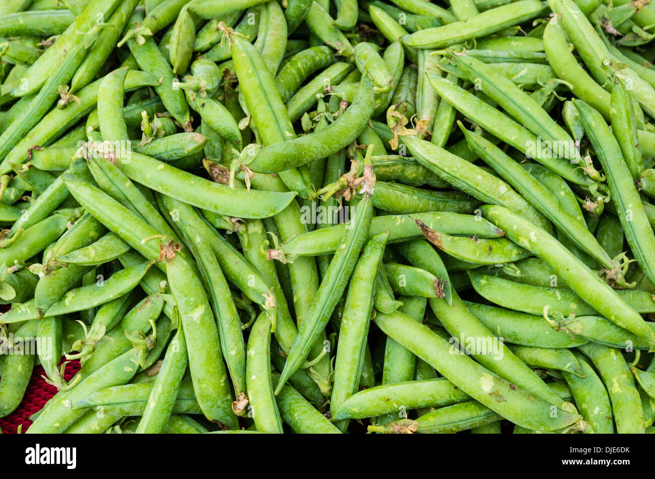 Green peas fresh picked at the farmers market Stock Photo