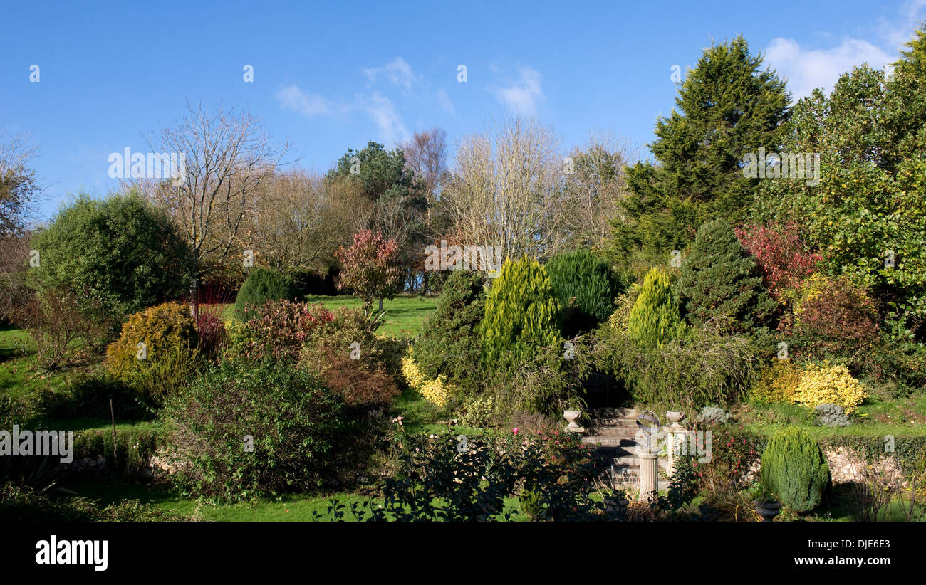 Colours in a garden in Devon on a bright autumn morning Stock Photo