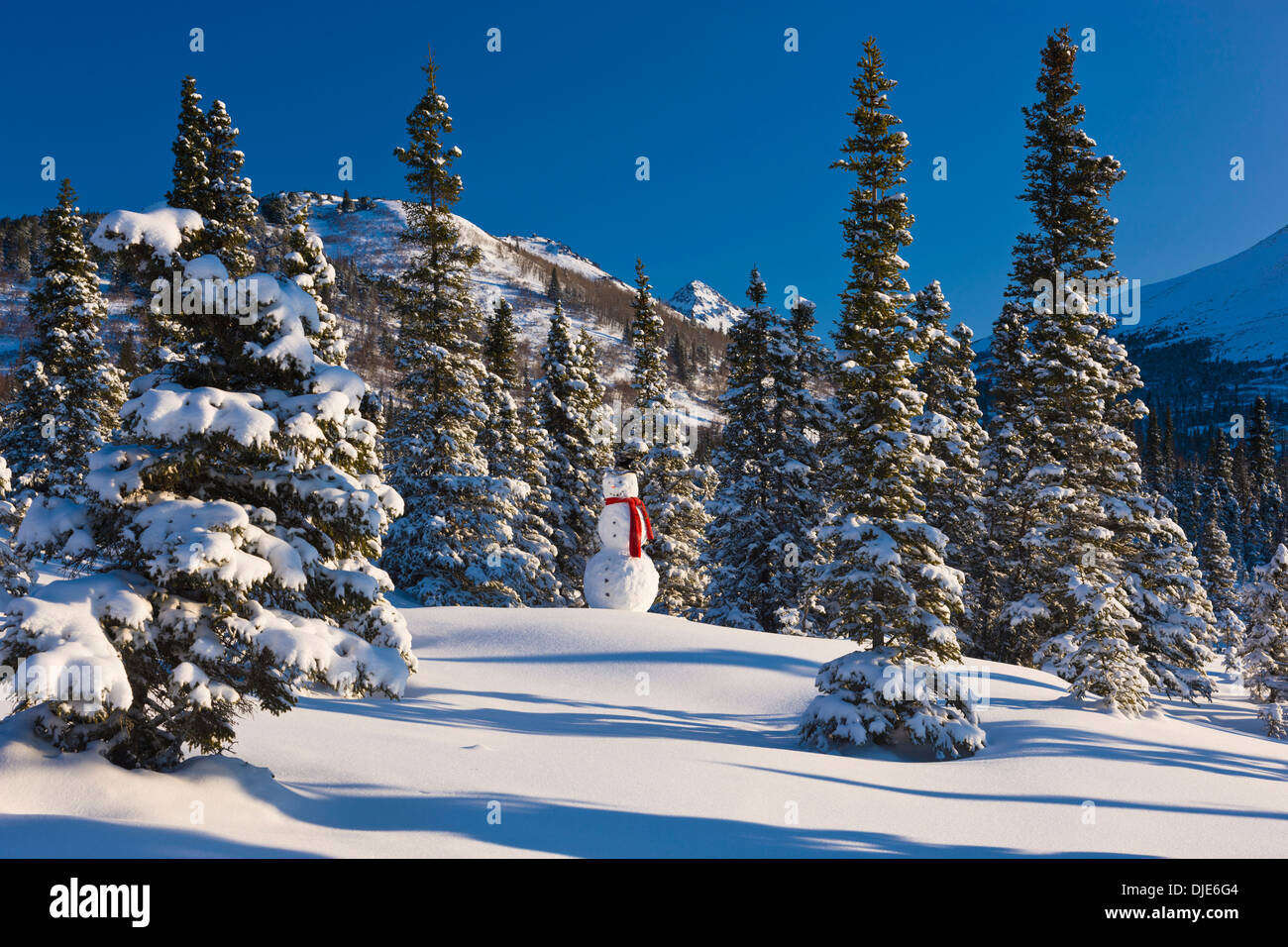 Snowman Wearing A Red Scarf And Black Top Hat Standing In Front Of A ...