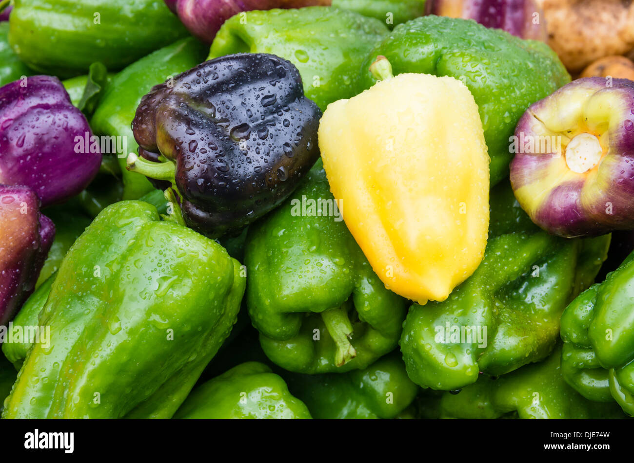 Bell peppers green and yellow at the farmers market Stock Photo - Alamy