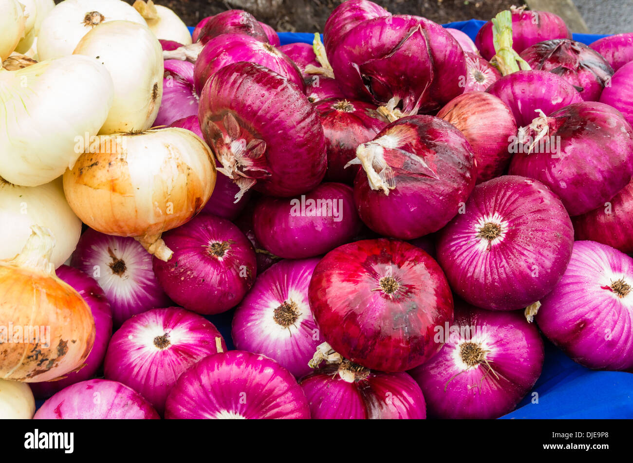 Red onions on display at the farmers market Stock Photo - Alamy