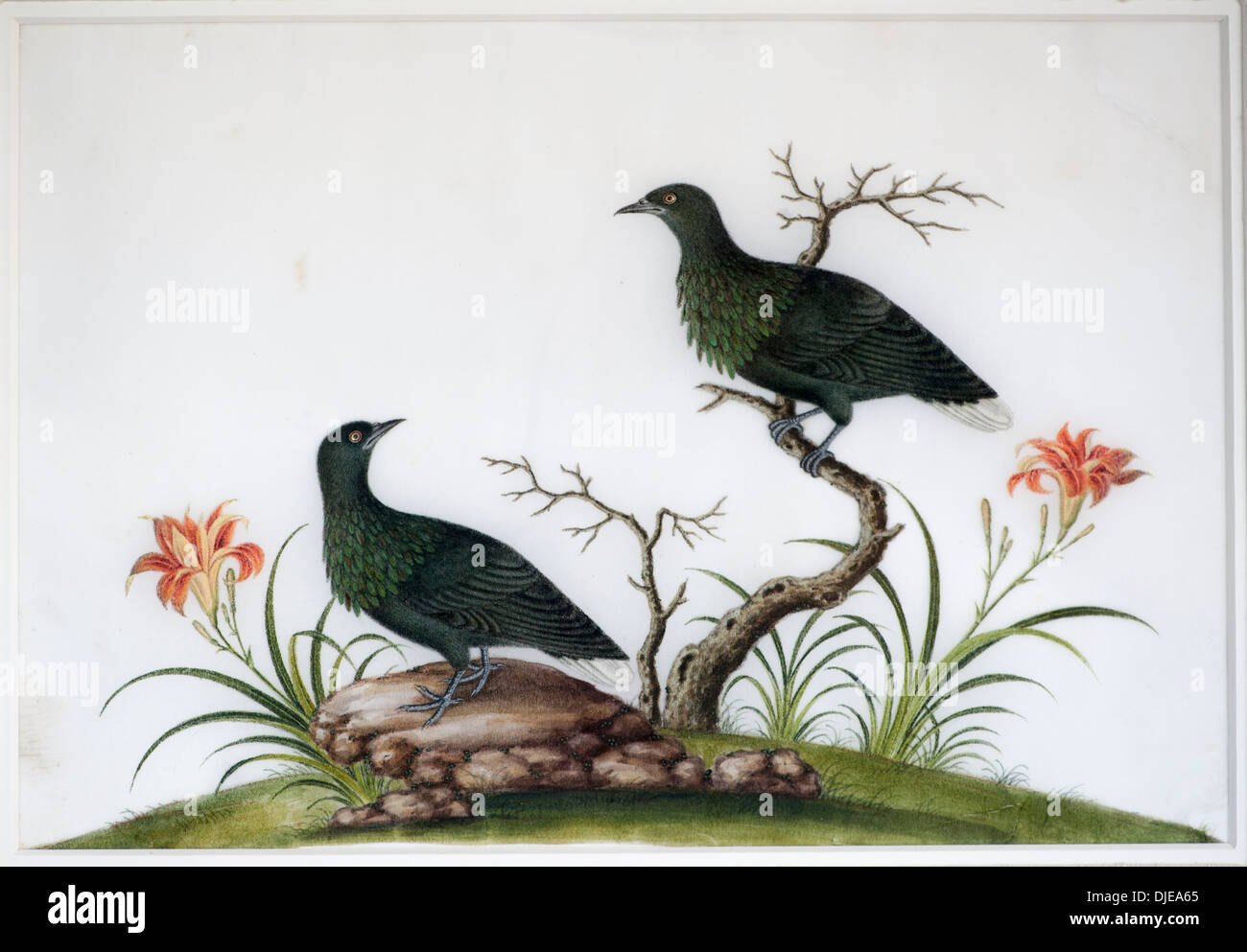 Chinese Pith Painting 19th Century Stock Photo