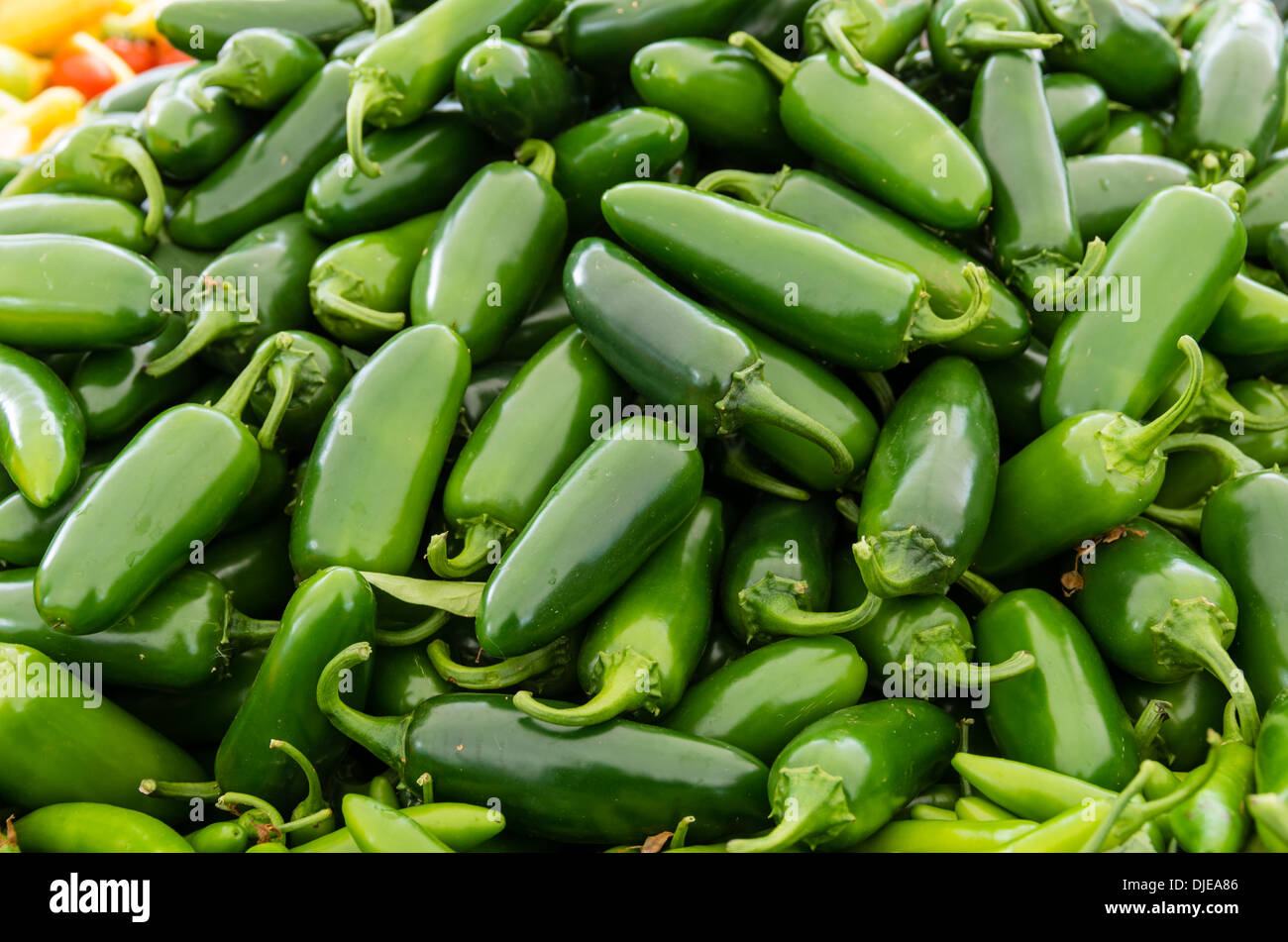Jalapeno hot peppers on display at the farmers market Stock Photo Alamy
