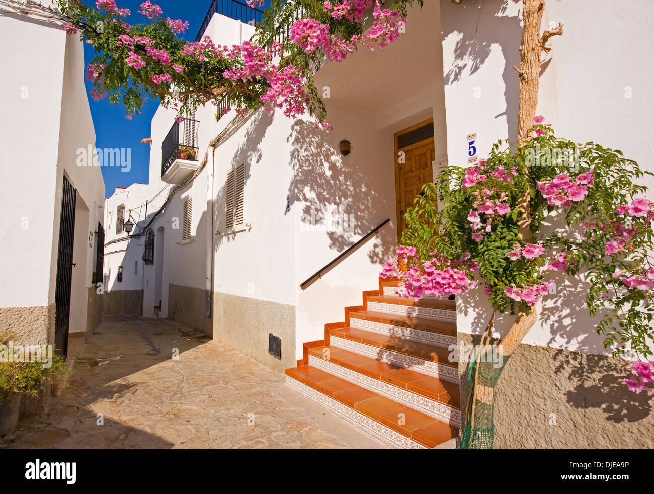 Traditional white washed houses in Mojacar pueblo (village) Spain Stock Photo Alamy