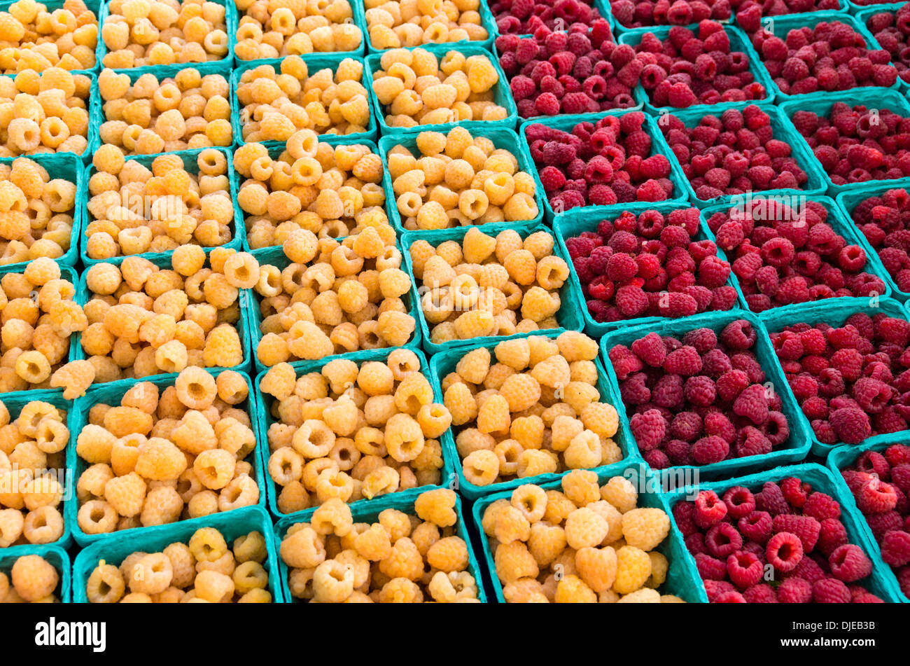 Red Andyellow Raspberry Raspberries red and yellow in small boxes at the market Stock Photo - Alamy
