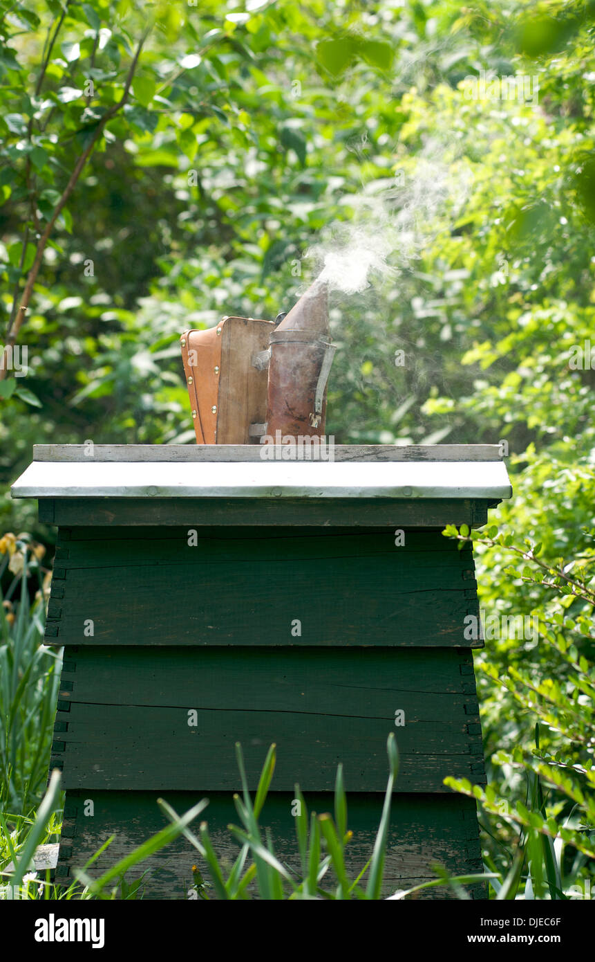 Bee hive and bee smoker, UK Stock Photo Alamy