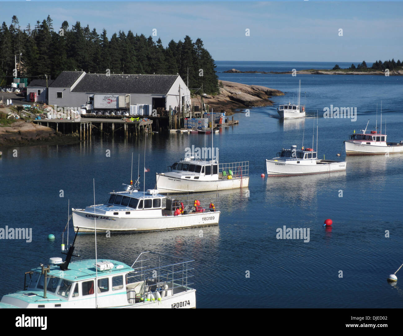 Traditional New England lobster boats moored on a cal sunny Sunday in Corea Maine, USA Stock Photo