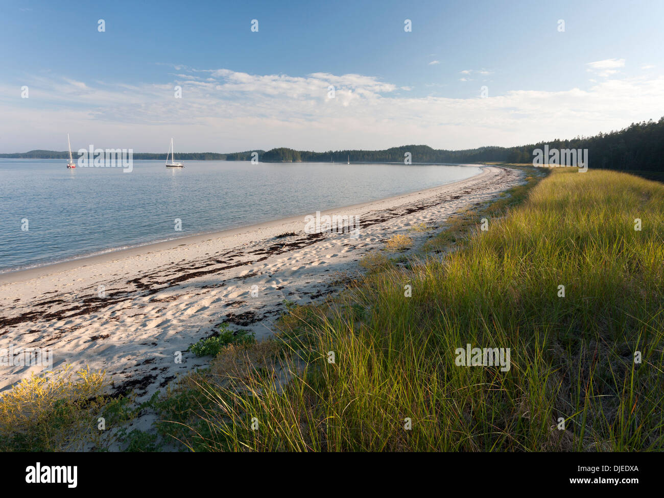 A long sweeping crescent of white sand and grass at Great Beach, Roque Island, Maine, USA and several sailboats anchored near it Stock Photo