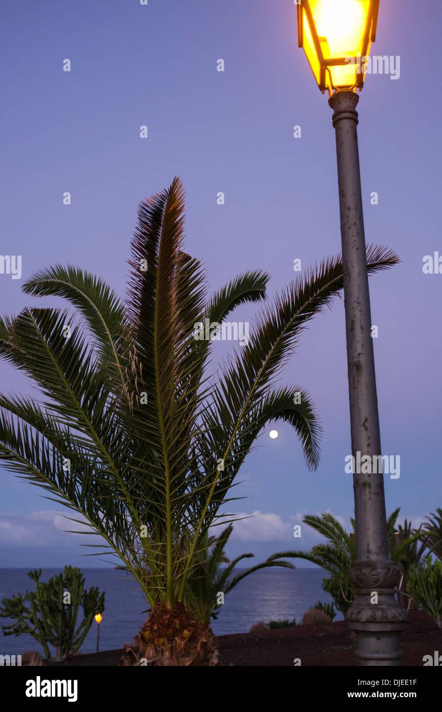 Street lamp, full moon, palm tree and cactus by the coast at Playa San Juan, tenerife, Canary Islands, Spain. Stock Photo