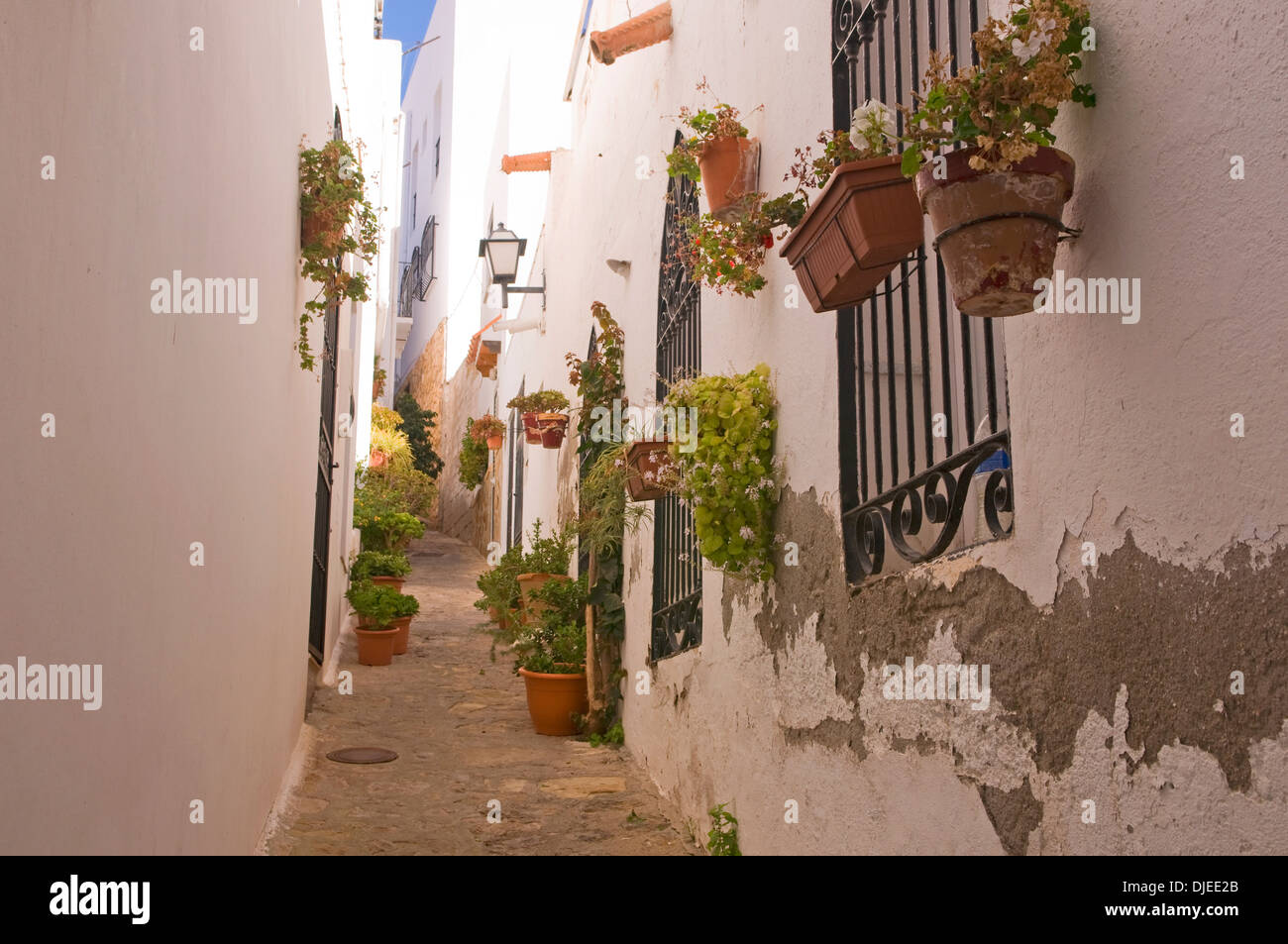 Winding alleyway with white washed buildings in Mojacar, Spain Stock