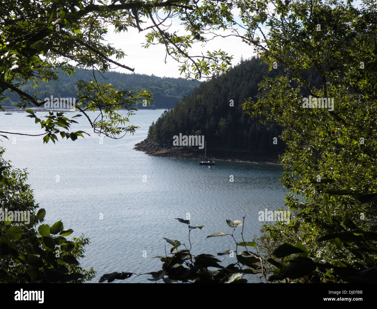 A solitary sailboat anchored in Valley Cove inside Somes Sound Maine, USA, which is claimed to be America's only fiord or fjard. Stock Photo