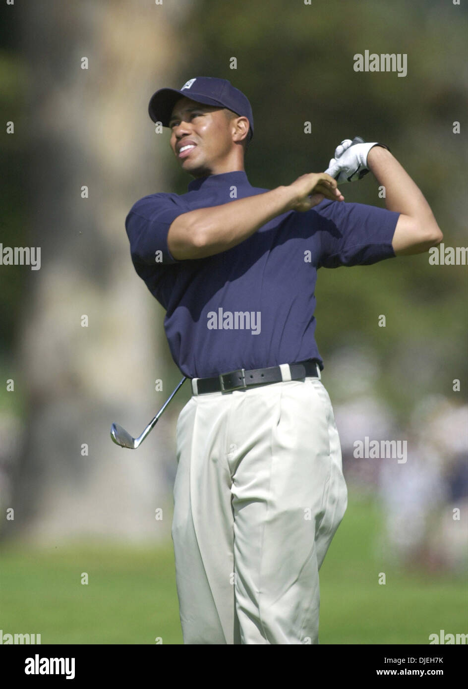 Feb 22, 2003; Los Angeles, CA, USA; Tiger Woods plays in the third round of  the 2003 Nissan Open at the Rivera Country Club Stock Photo - Alamy