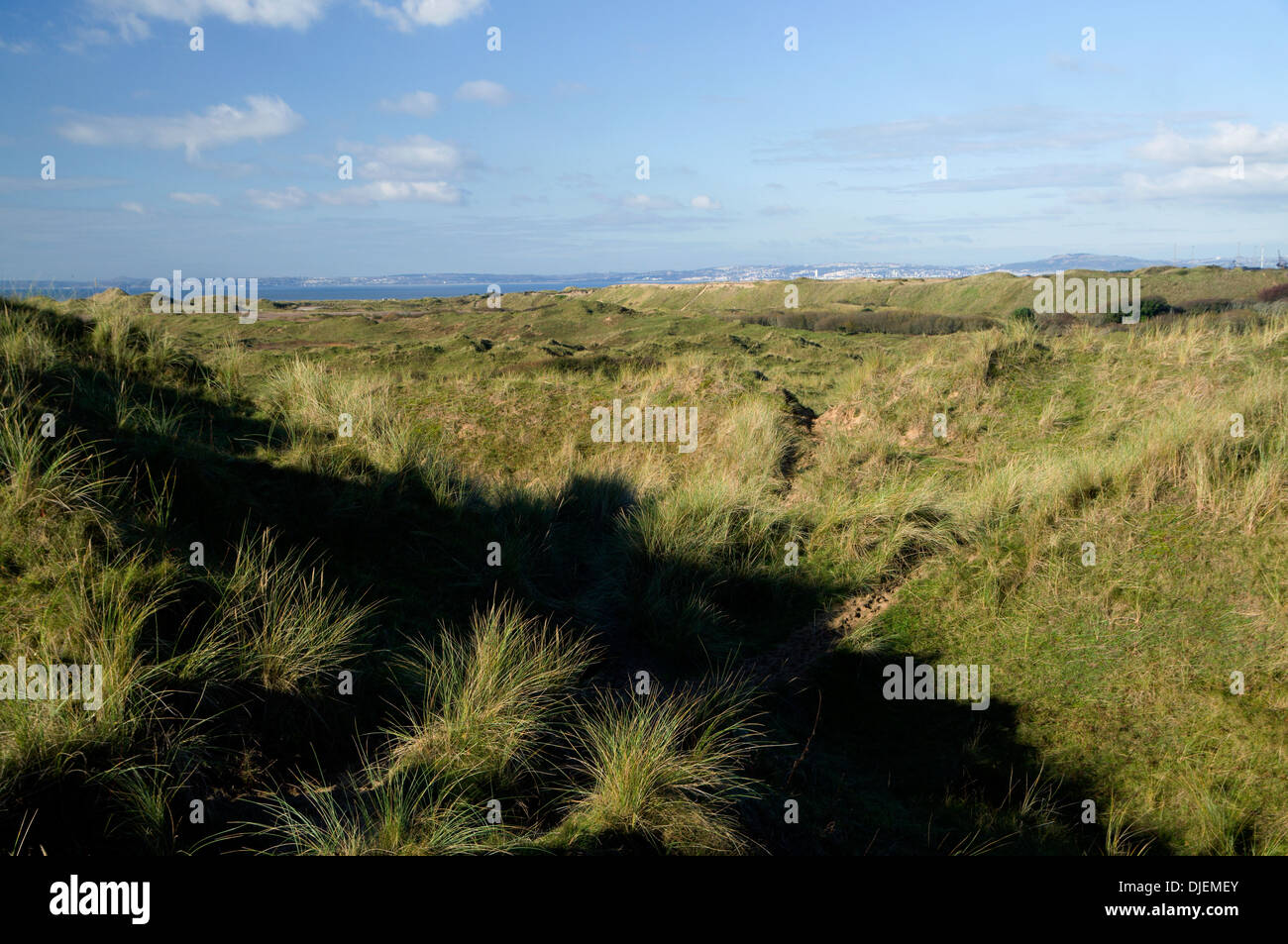 Kenfig National Nature Reserve, near Port Talbot, South Wales. Stock Photo