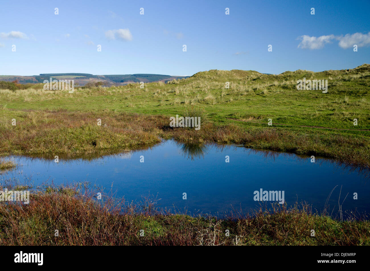 Flooded dune slack, Kenfig National Nature Reserve near Port Talbot, South Wales. Stock Photo