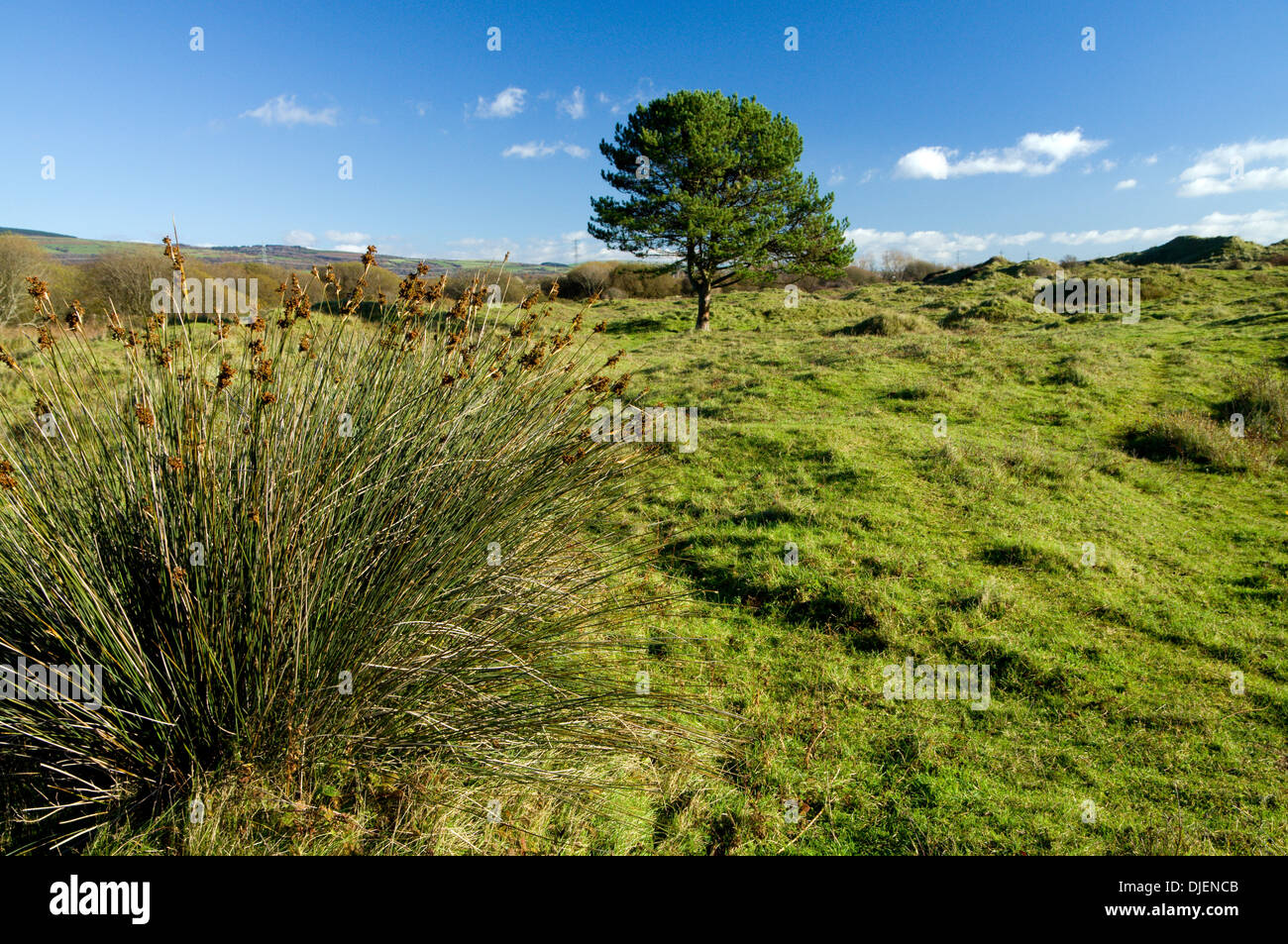 Kenfig National Nature Reserve, near Port Talbot, South Wales Stock ...