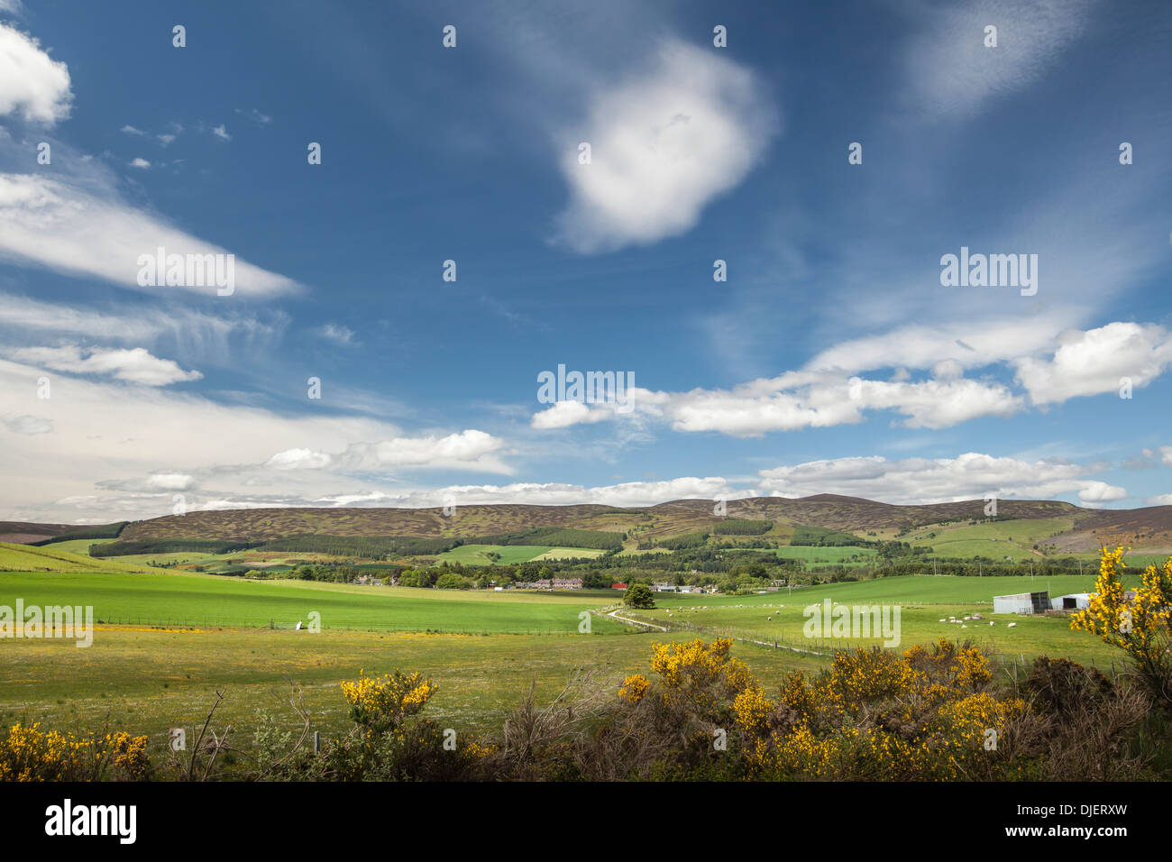Lumsden hires stock photography and images Alamy