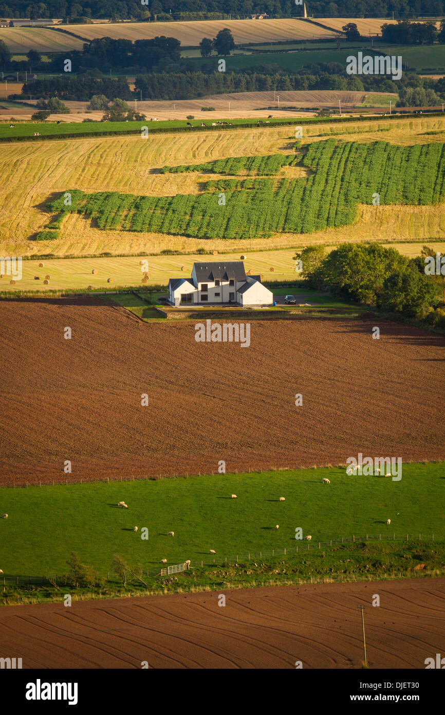 Scotland Rural Background Rural farmland in the central Scottish Borders Stock Photo - Alamy