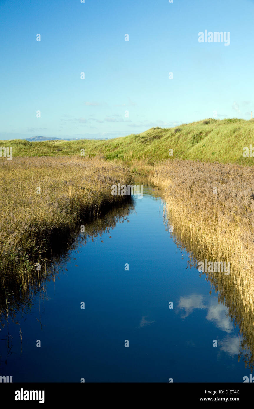 River Kenfig and reed beds, Kenfig National Nature Reserve near Port