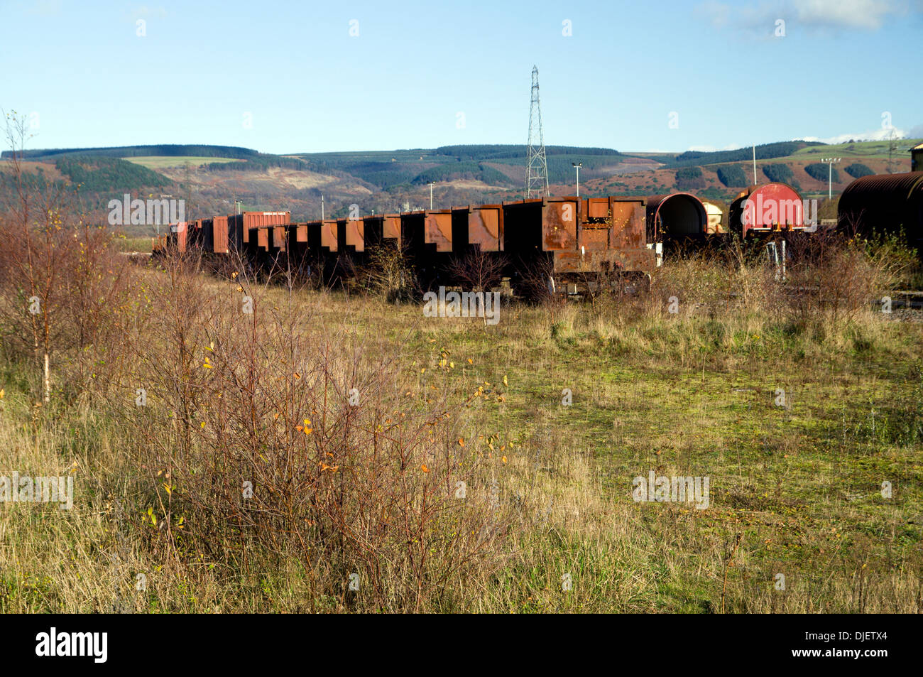 Old rusted railway trucks in siding, Margam Moor, Port Talbot, South Wales. Stock Photo