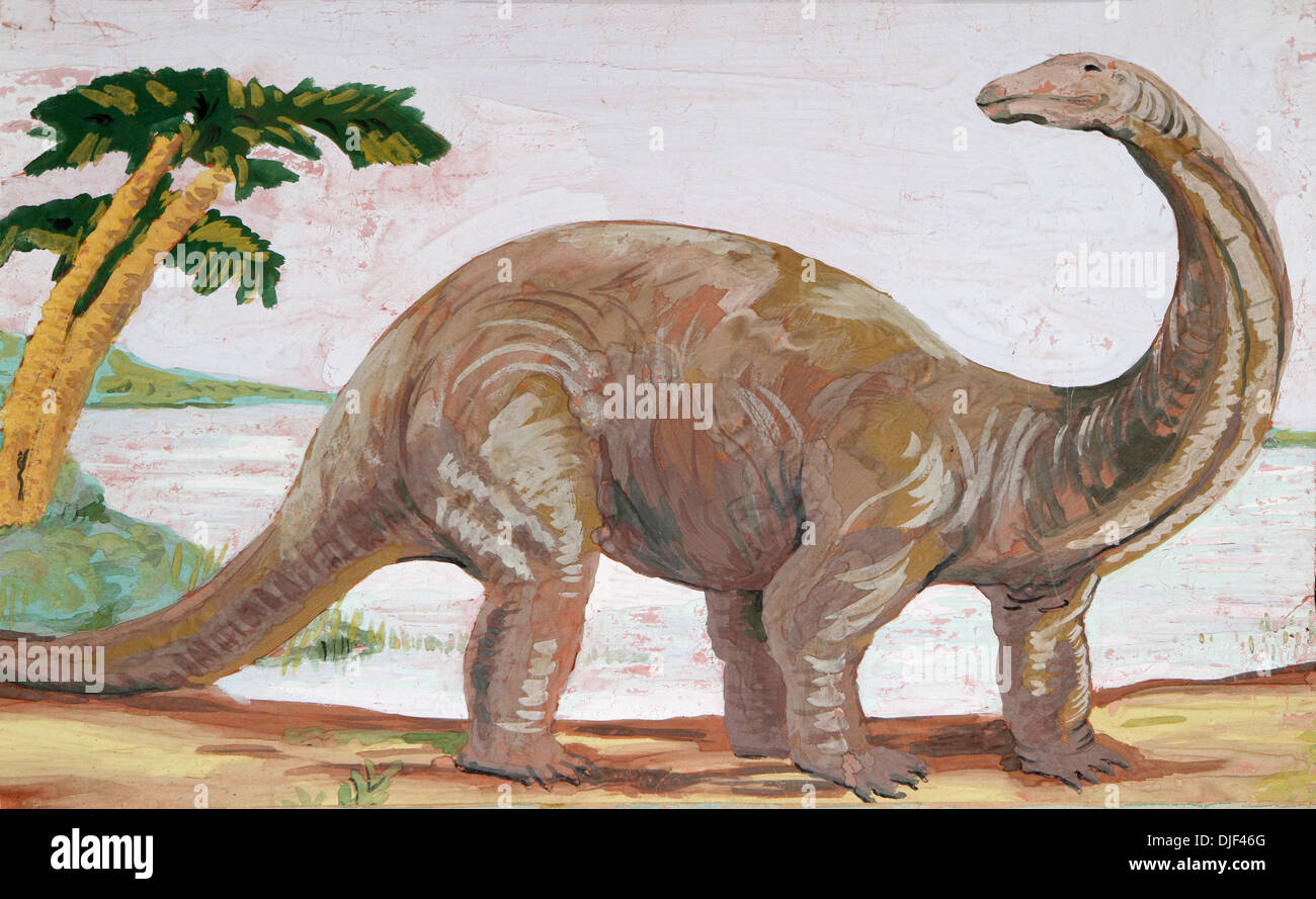 Manospondylus: Diplodocus: A history of reconstructions - Part 1