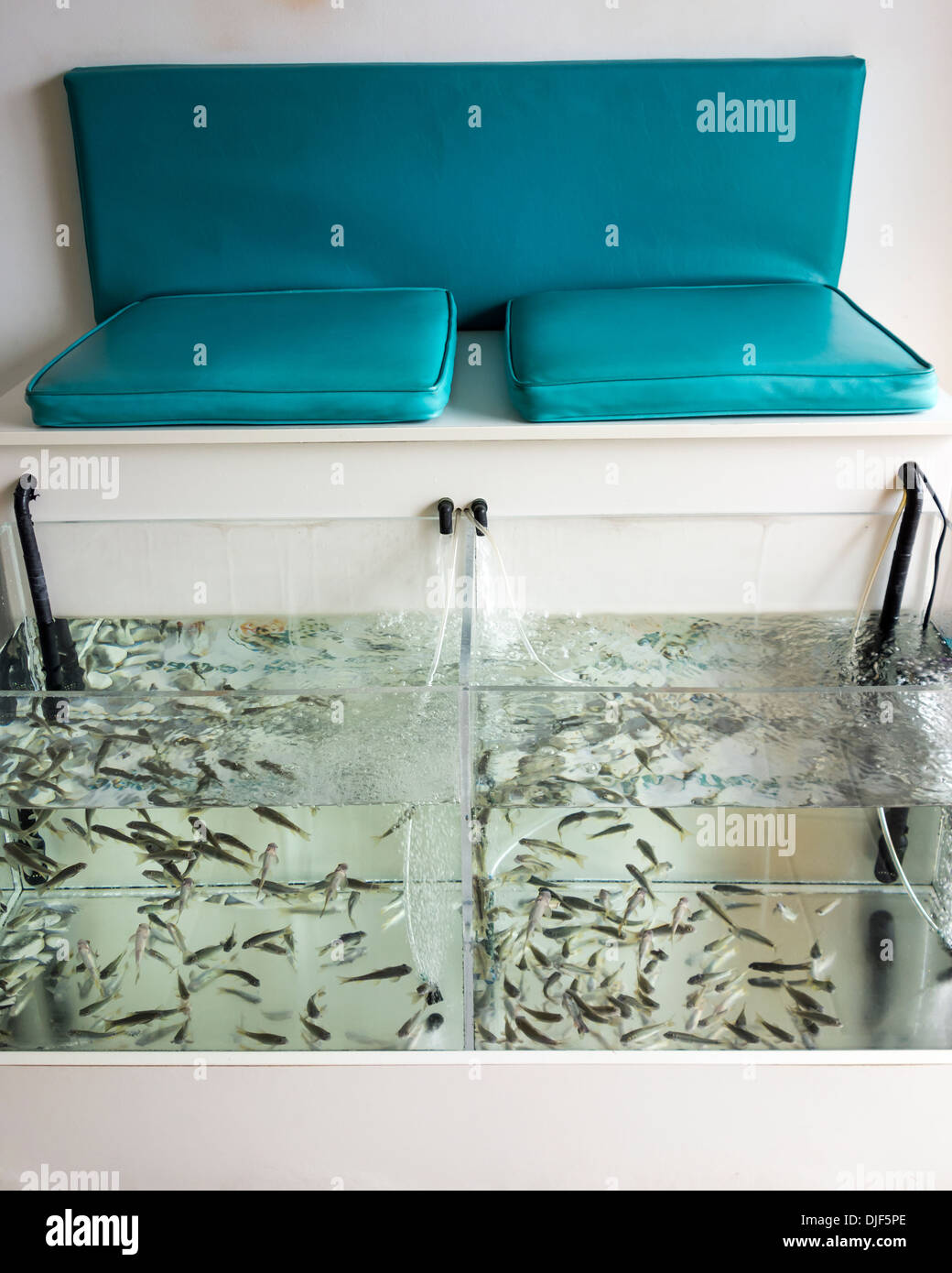 Fish Foot Treatment High Resolution Stock Photography and Images Alamy