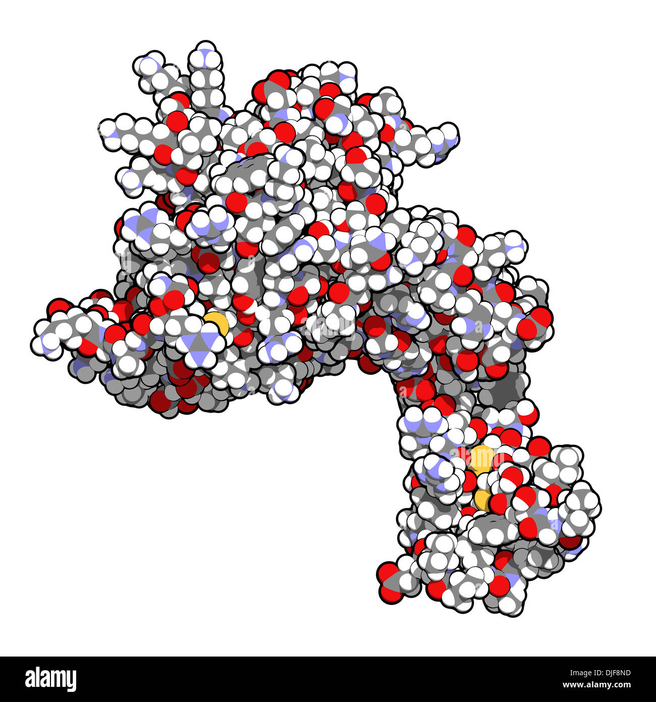Human activated protein C (APC, drotrecogin alfa, without Gladomain
