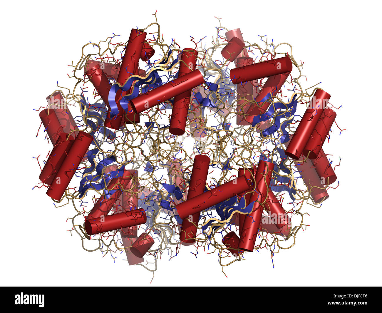 Asparaginase enzyme molecule. Used in leukemia treatment (crisantaspase). Stock Photo