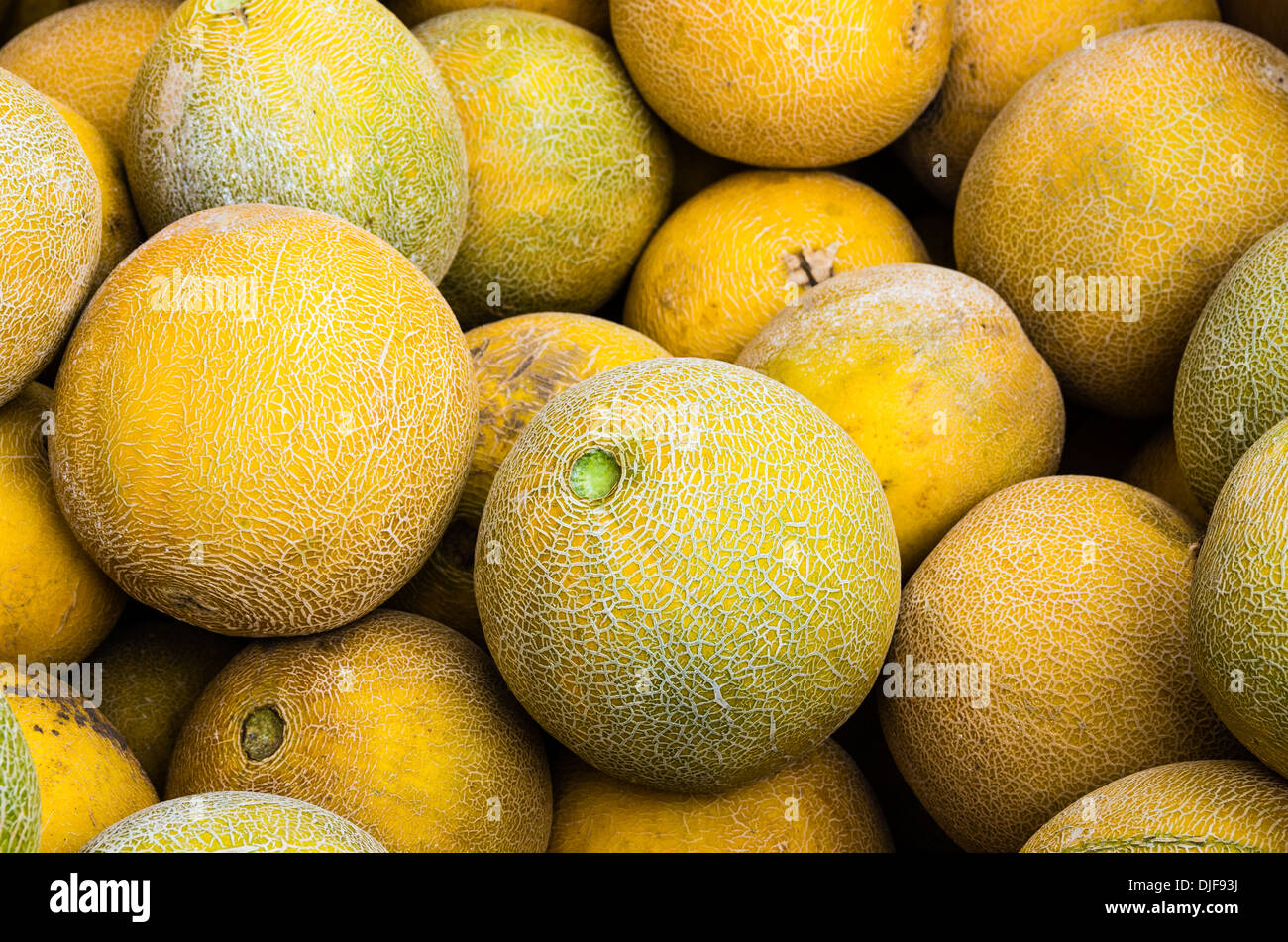Ripe melons on display at the farmers market Stock Photo Alamy