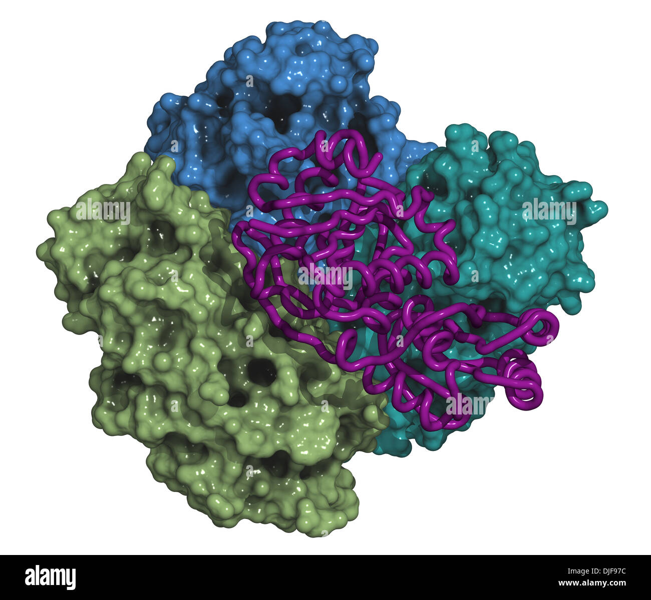 Asparaginase enzyme molecule. Used in leukemia treatment (crisantaspase). Stock Photo