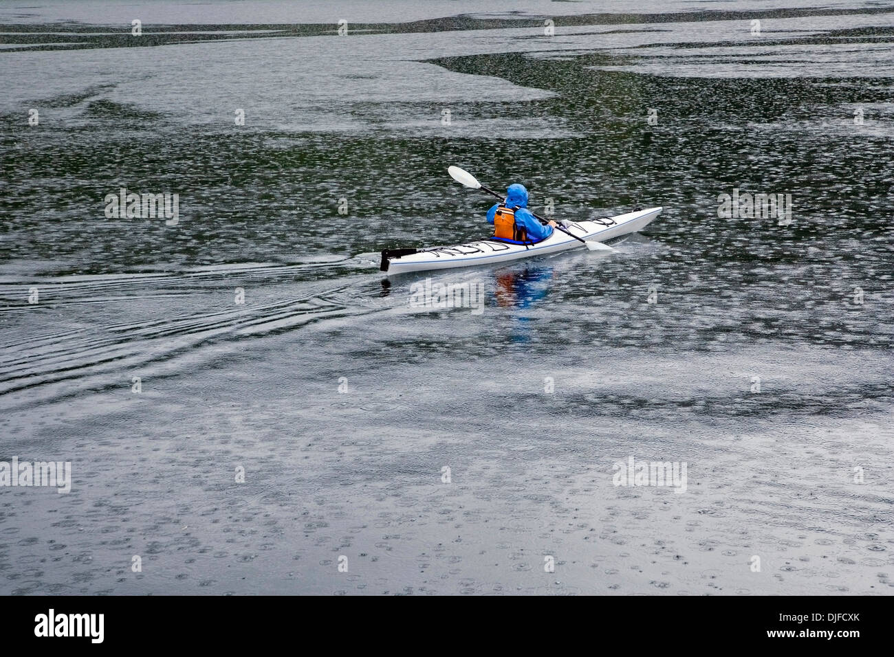 Sea Kayaker Paddling Through Rain Squall Tracy Arm FordsTerror