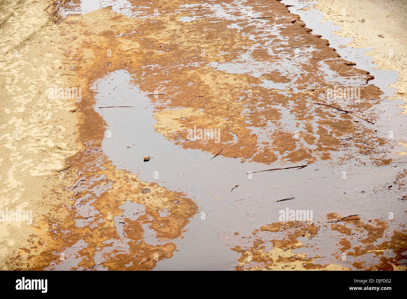 Thick pools of oil formed on Grand Isle beach as oil washed onshore ...