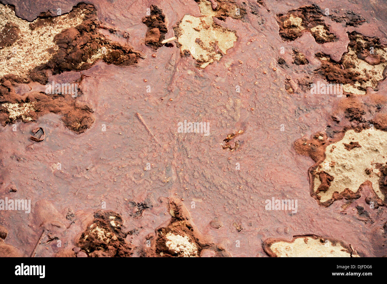 Thick oil washed onshore in Grand Isle, Louisiana Saturday. The British Petroleum Deepwater
