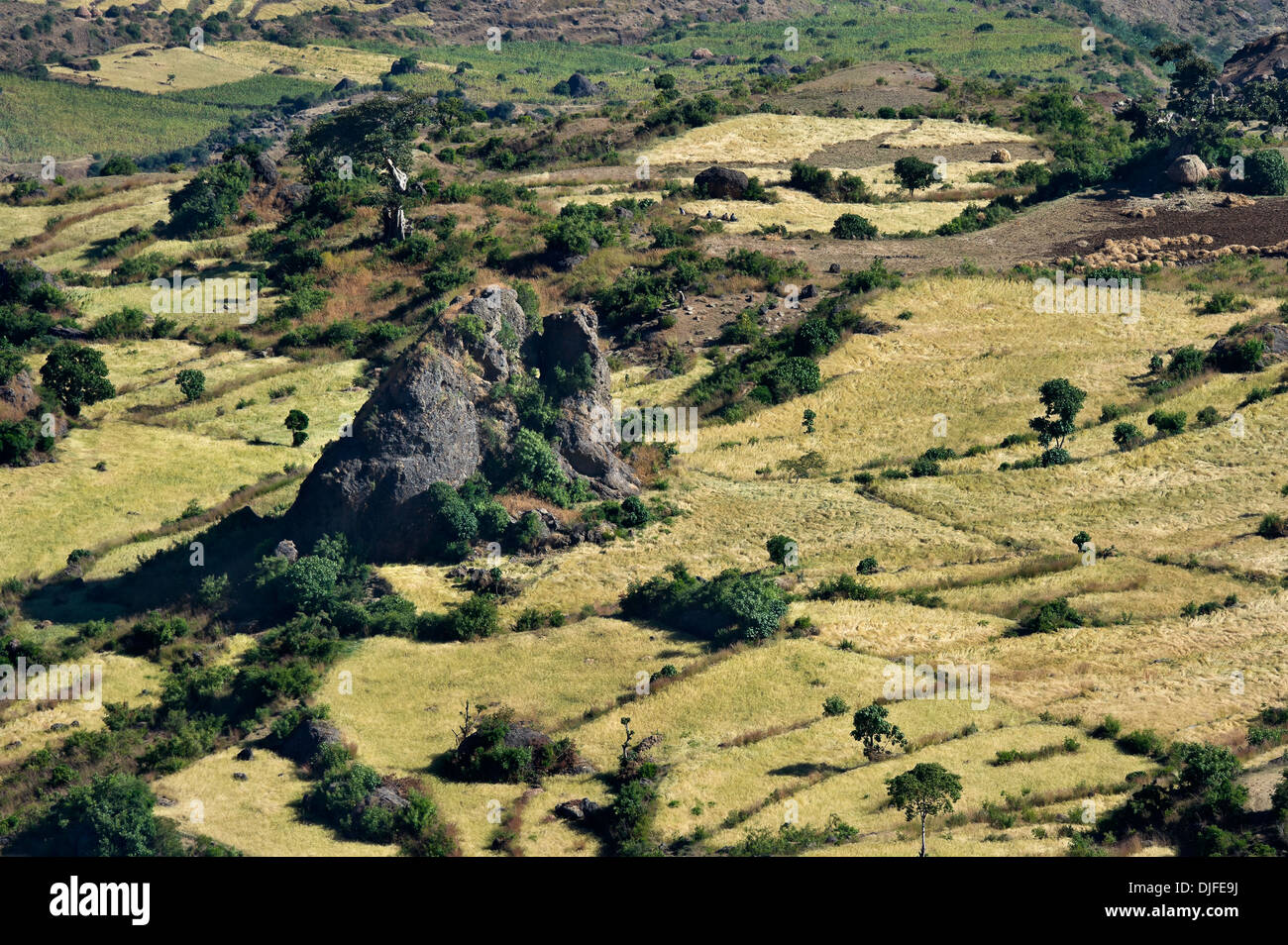 Country landscape in the Ethiopian Rift valley Stock Photo - Alamy