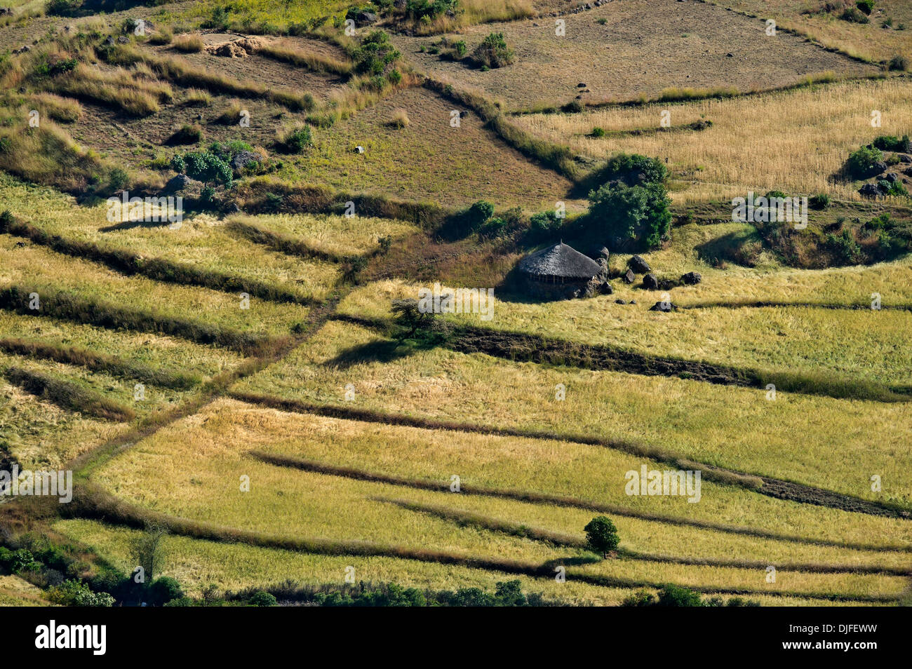 Country landscape in the Ethiopian Rift valley Stock Photo - Alamy