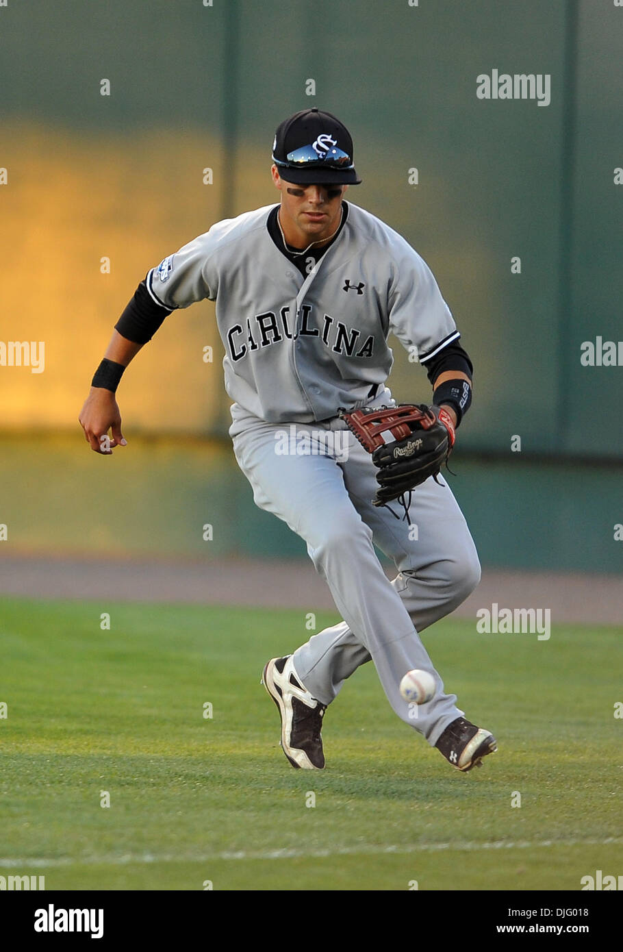 South Carolina out fielder Whit Merrifield #5 during the 2010 NCAA