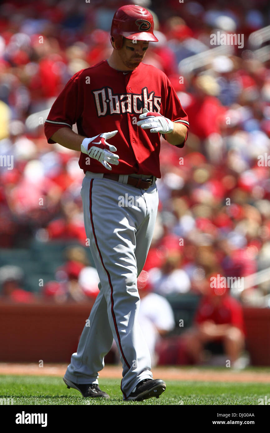 Adam laroche sale