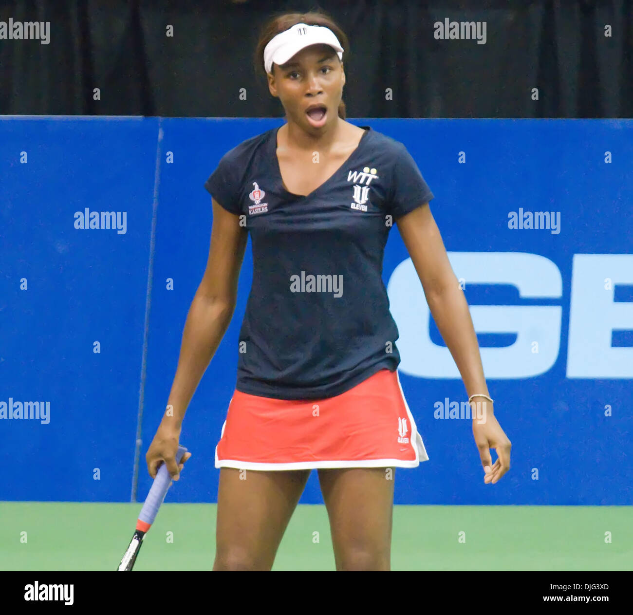 Venus williams 2010 hi-res stock photography and images - Alamy