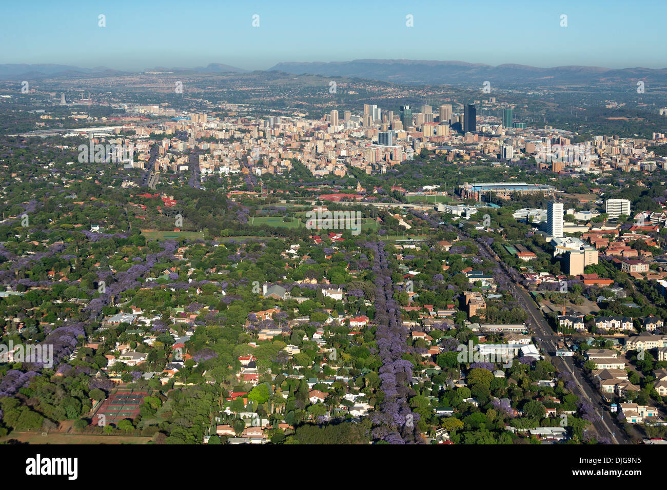 Aerial view of Pretoria's cental business district and the iconic Jacaranda trees in full bloom.Pretoria.South Africa Stock Photo