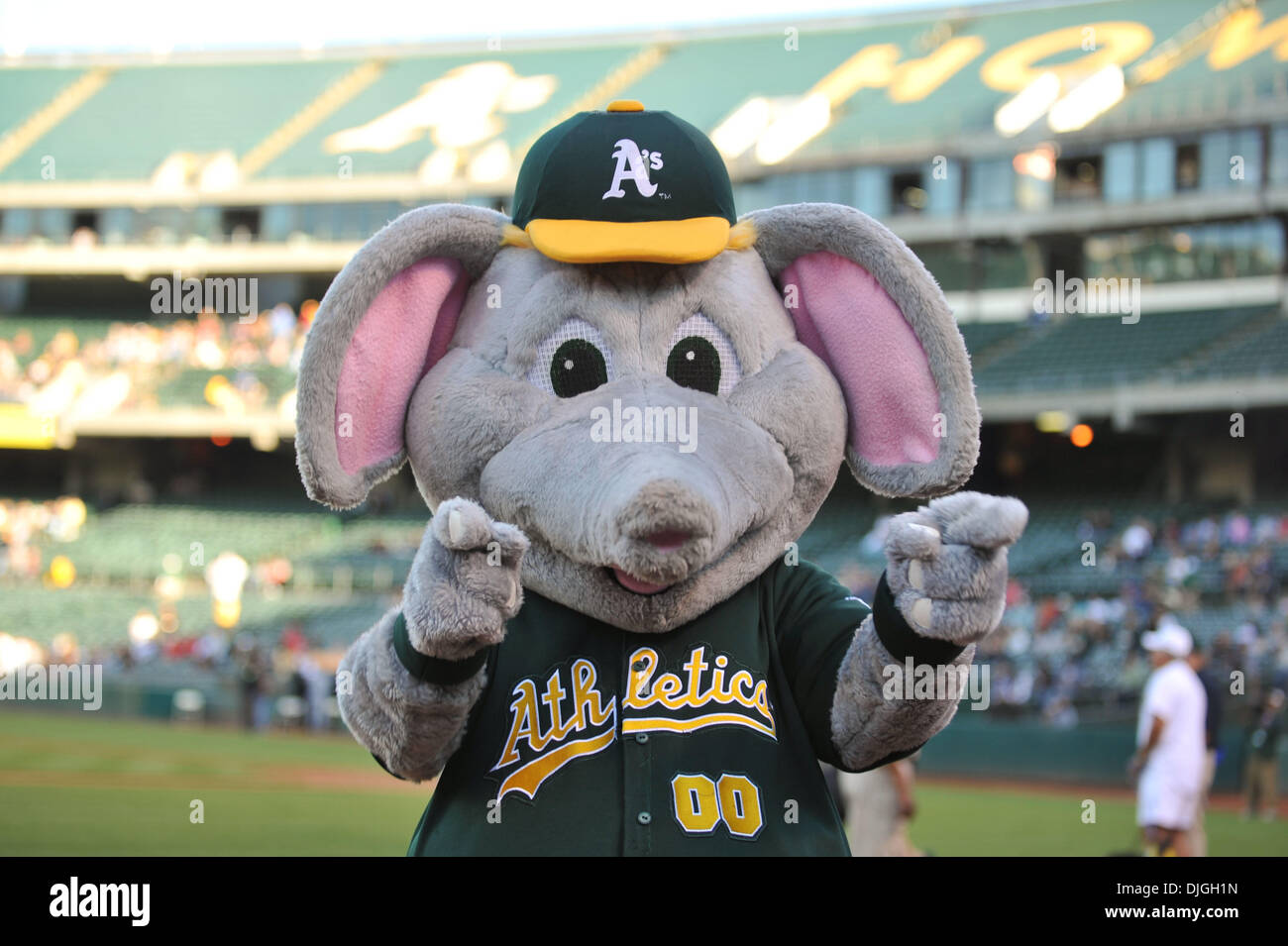 Oakland Athletics A's Hat Cap Elephant Bats Stomper MLB